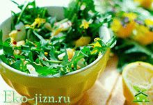 Салат из одуванчиков — несколько рецептов