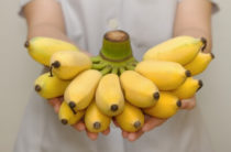 Как бананы действуют на наш организм: сердце, кости, сахарный диабет и др.