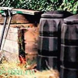 Органическая утилизация мусора: урны с червями