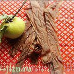 Как приготовить пастилу из яблок в домашних условиях: рецепты
