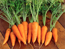 Польза и вред морковного сока