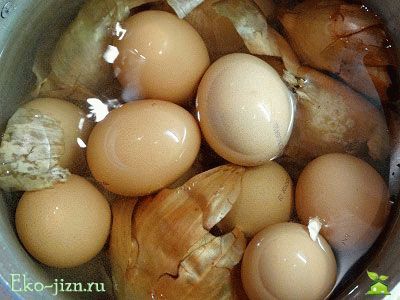 Залить яйца водой