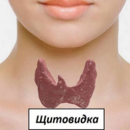 6 совсем не очевидных симптомов заболевания щитовидной железы: если узнаете хотя бы 2 из них — незамедлительно идите к врачу
