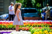 21 июня — празднование международного дня цветов