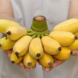 Как бананы действуют на наш организм: сердце, кости, сахарный диабет и др.