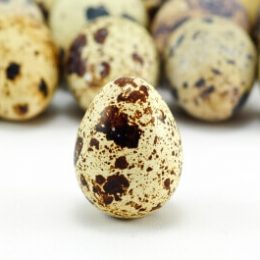 4 серьезных заболевания, при которых эффективно помогают перепелиные яйца