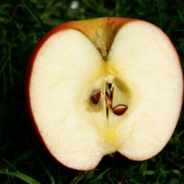 3 продукта, которые мы просто выбрасываем, на самом деле обладают мощными противораковыми свойствами