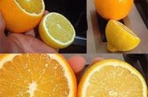 Лимонно-апельсиновая витаминная паста: позаботимся об иммунитете
