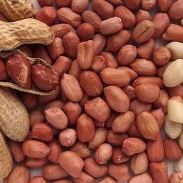 Польза и вред арахиса для организма, калорийность. Как выбрать и хранить арахис