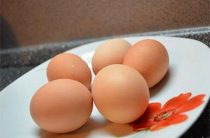 Сколько яиц можно съесть в день. Целебные свойства яиц разнообразных птиц