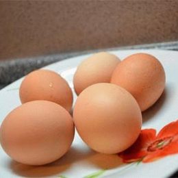Сколько яиц можно съесть в день. Целебные свойства яиц разнообразных птиц