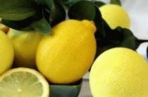 Мед и лимон для профилактики простудных заболеваний и гриппа: рецепты