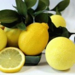 Мед и лимон для профилактики простудных заболеваний и гриппа: рецепты